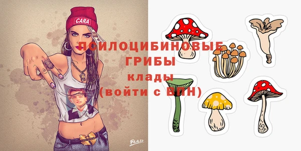 марки lsd Заводоуковск