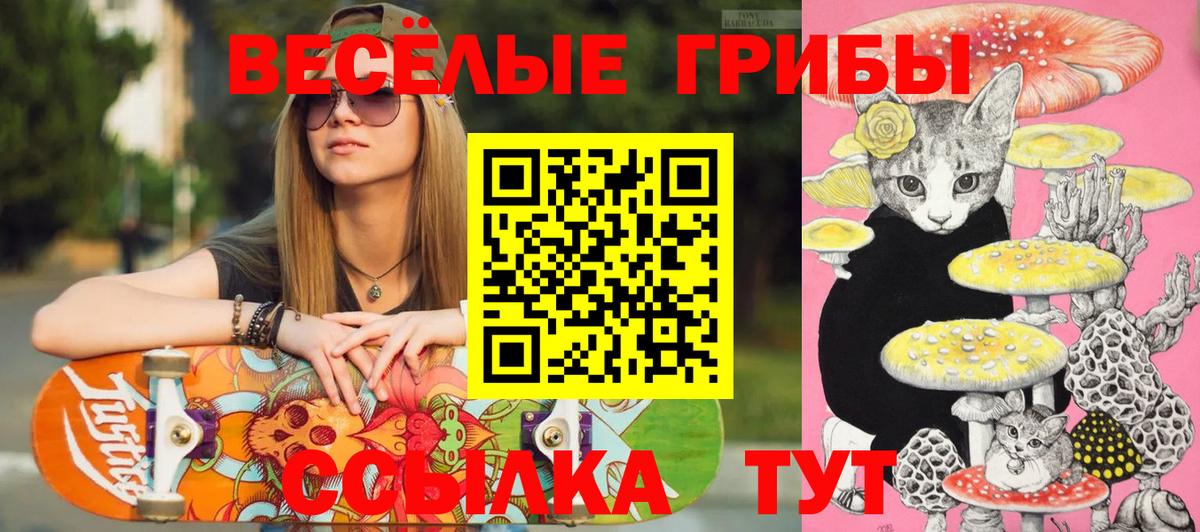 Псилоцибиновые грибы мицелий  Вход с VPN  Карпинск 